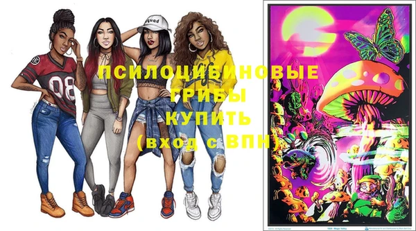 кокс Медвежьегорск