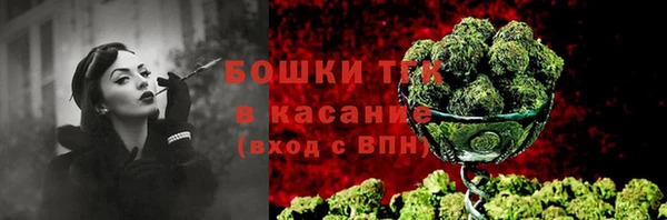 крисы Мегион
