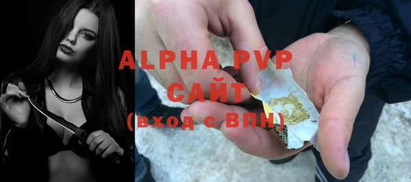 крисы Мегион