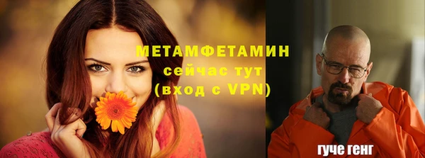 крисы Мегион