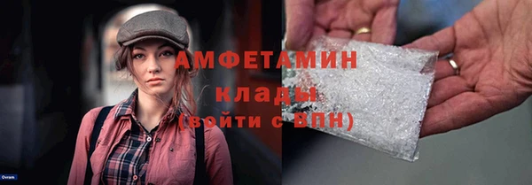 крисы Мегион