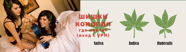 крисы Мегион