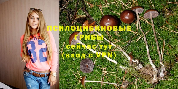 крисы Мегион