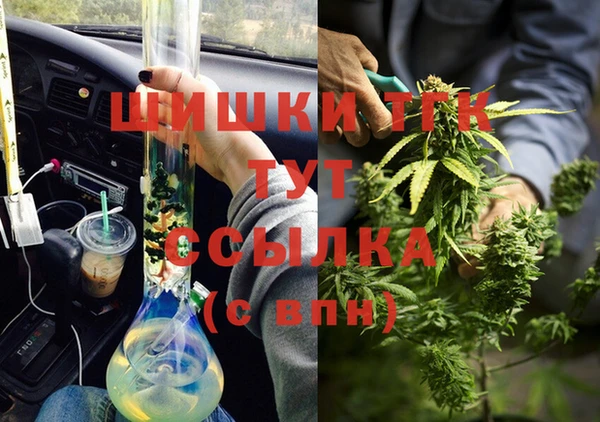 крисы Мегион
