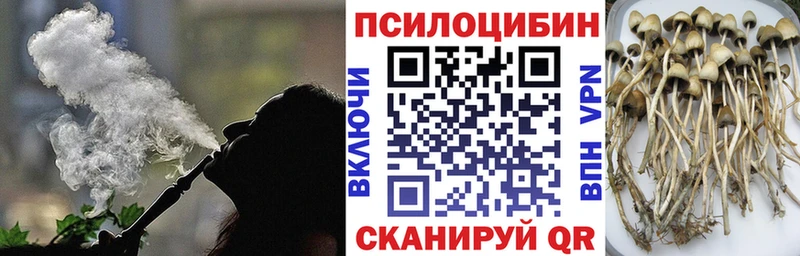 blacksprut сайт  Болохово  Галлюциногенные грибы Psilocybine cubensis  закладки 
